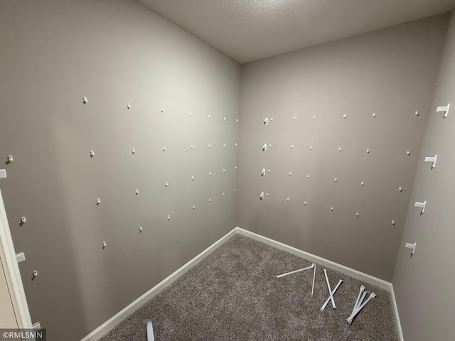 room details with baseboards and carpet flooring