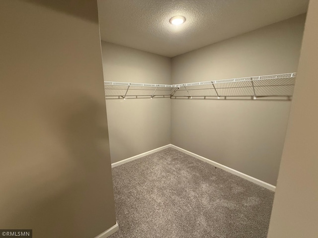 spacious closet with carpet flooring