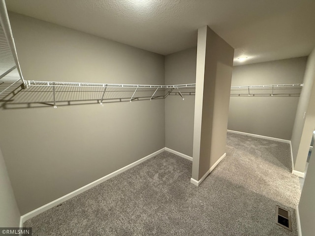 spacious closet with carpet flooring and visible vents