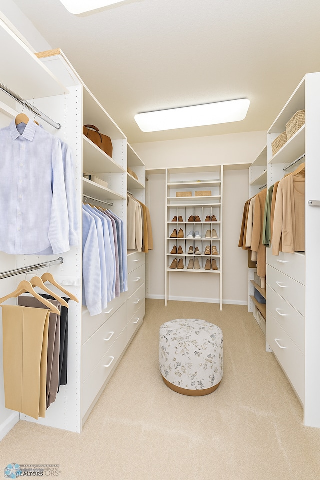 2501 30th Ave S Unit 102, Fargo, ND 58103 - walk in closet featuring carpet floors