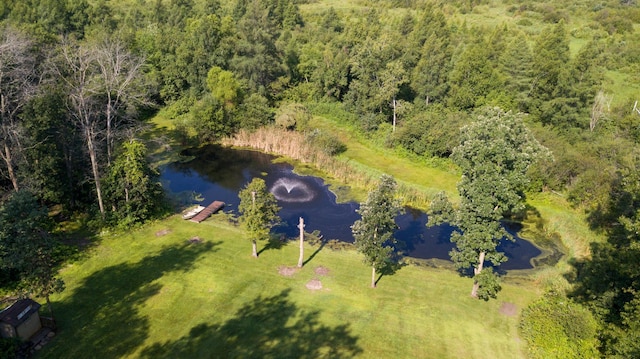 bird's eye view with a forest view and a water view