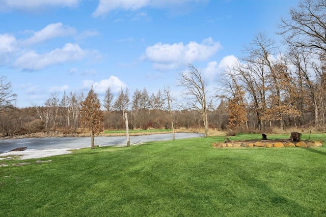 view of yard featuring a view of trees