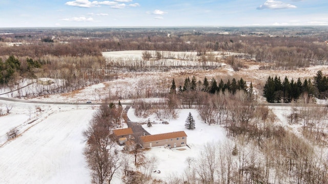 view of snowy aerial view