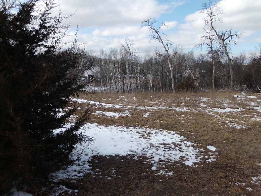 13875 10th Ave S, Zimmerman, MN 55398 - photo 1