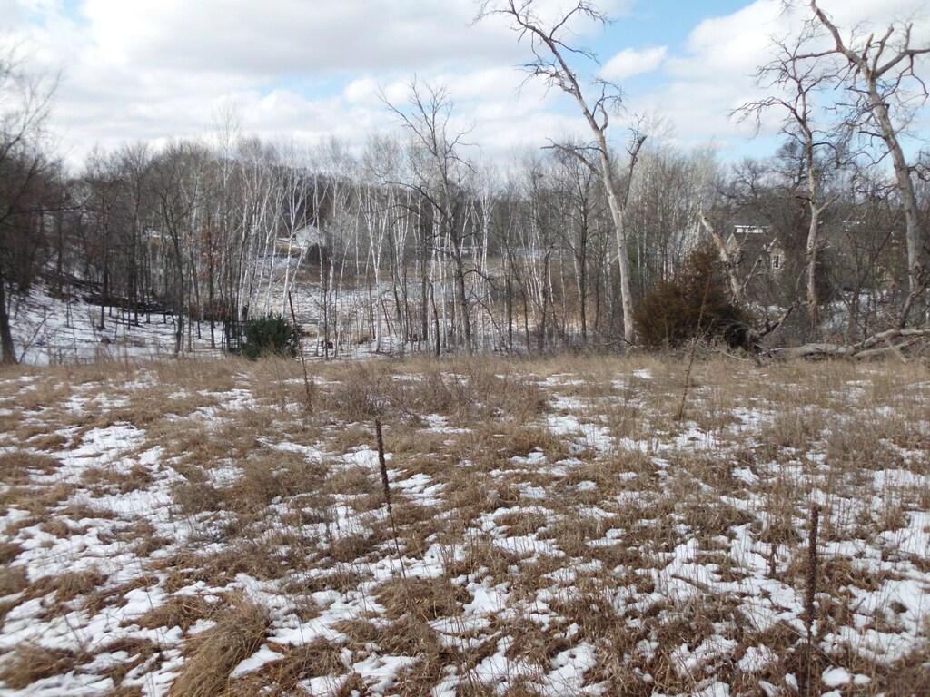 13875 10th Ave S, Zimmerman, MN 55398 - photo 2