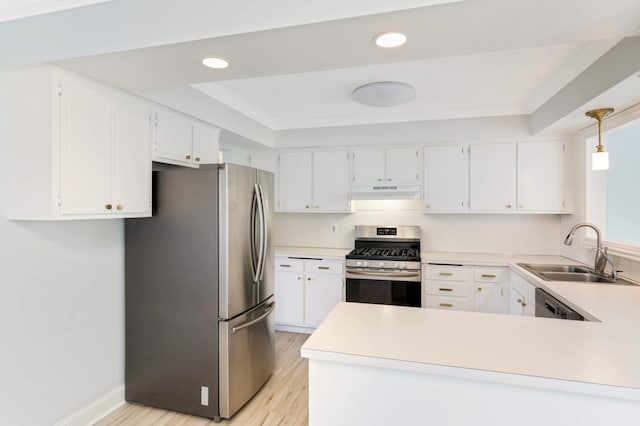 kitchen featuring a sink, a raised ceiling, light countertops, under cabinet range hood, and stainless steel appliances