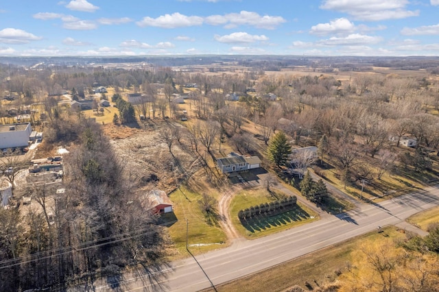 bird's eye view