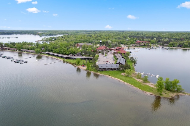 drone / aerial view featuring a view of trees and a water view