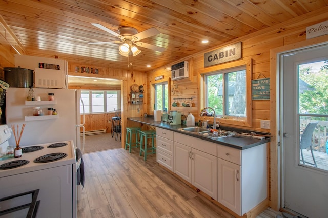 kitchen with white appliances, dark countertops, a wealth of natural light, and a sink