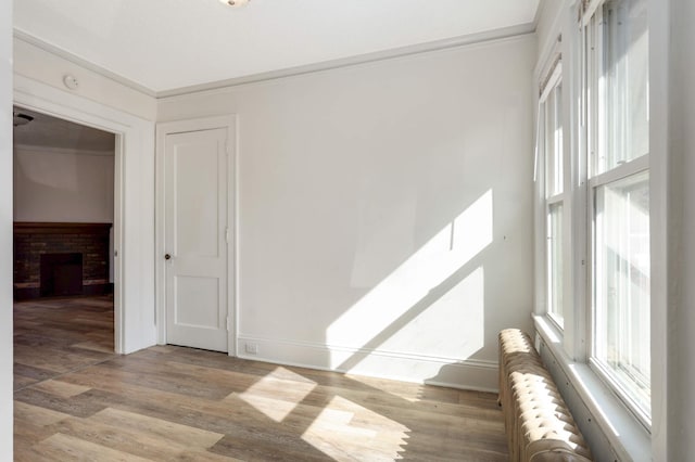 empty room featuring a healthy amount of sunlight, wood finished floors, a fireplace, and crown molding