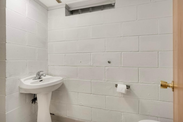 6719 Ewing Ave N, Brooklyn Center, MN 55429 - half bath with concrete block wall