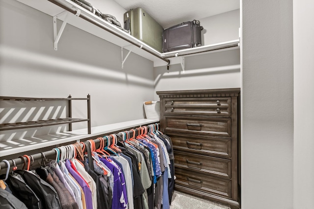 spacious closet featuring carpet