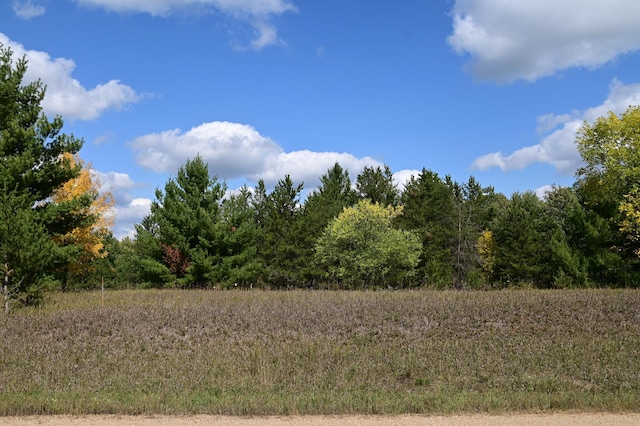 LOT1BLOCK8 Oak Dr, Moran Twp MN, 56438 land for sale