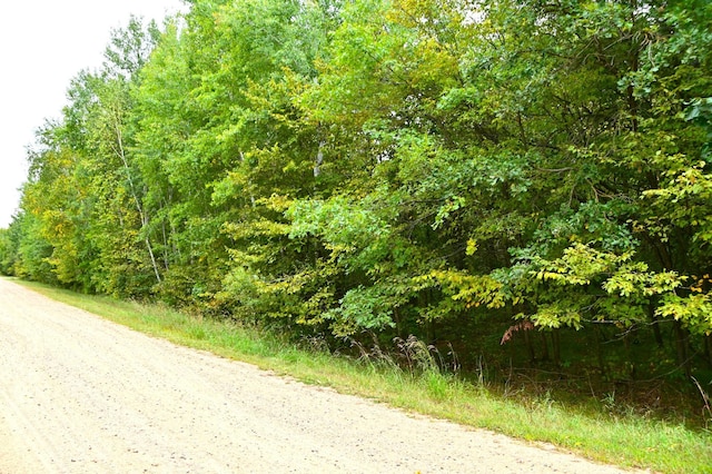 XXX Orchard Dr, Moran Twp MN, 56438 land for sale