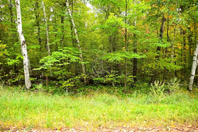 XXX Ode Cir, Moran Twp MN, 56438 land for sale