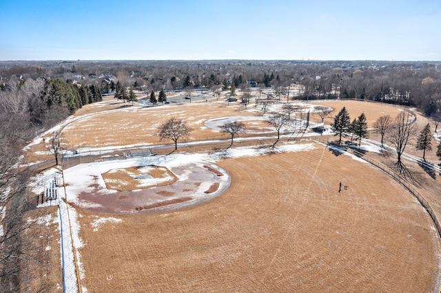 bird's eye view