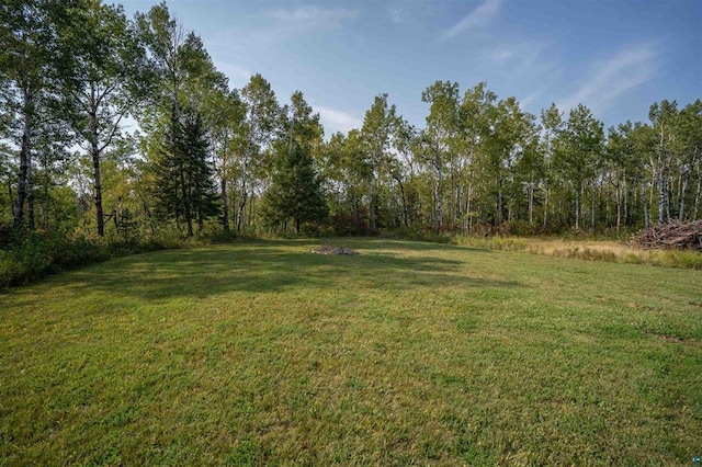 view of yard featuring a wooded view