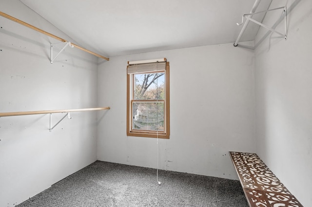 spacious closet featuring carpet flooring