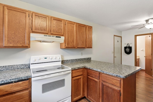 125 96th Ln NE, Blaine, MN 55434 - kitchen with white electric range oven, under cabinet range hood, a peninsula, wood finished floors, and ceiling fan