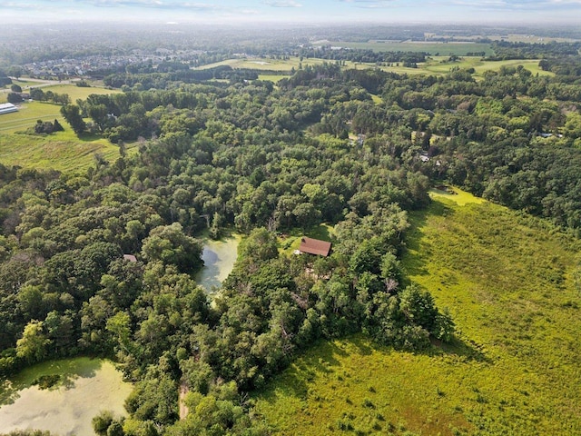 11669 Dellwood Rd, Grant, MN 55082 - aerial view of a forest