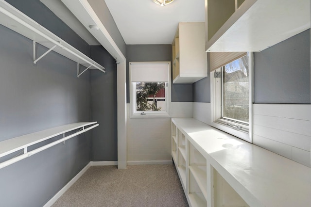 spacious closet with light carpet