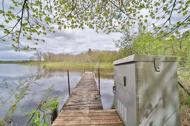 view of dock featuring a water view and a view of trees