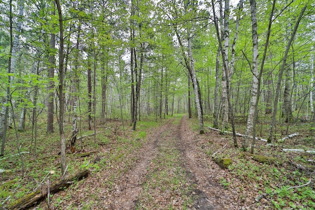 view of nature with a view of trees