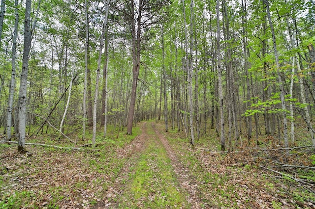 view of local wilderness with a forest view