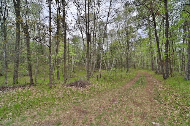 view of local wilderness with a wooded view