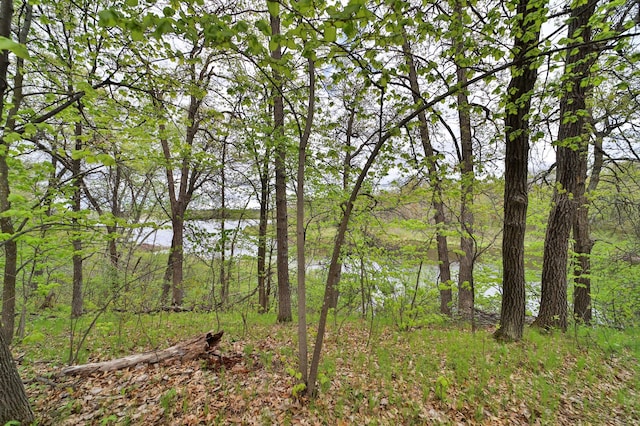 view of water feature featuring a view of trees