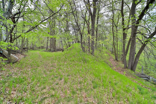 view of yard featuring a wooded view