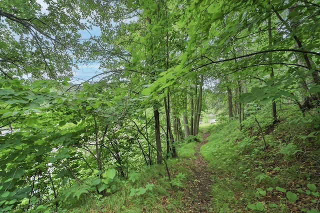 view of landscape with a wooded view