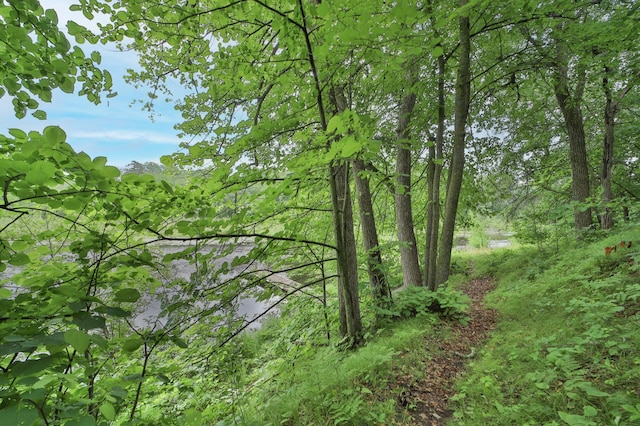 view of landscape