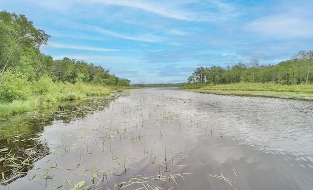 water view with a forest view