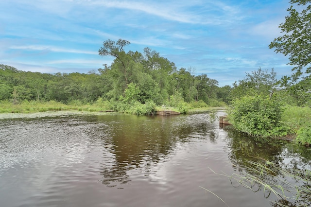 property view of water featuring a forest view