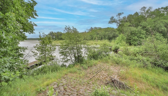 view of local wilderness