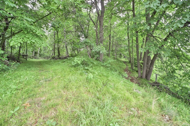 view of nature with a view of trees