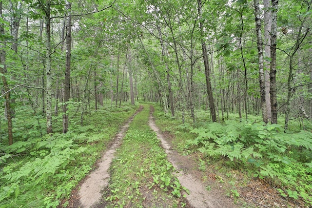 view of local wilderness featuring a wooded view