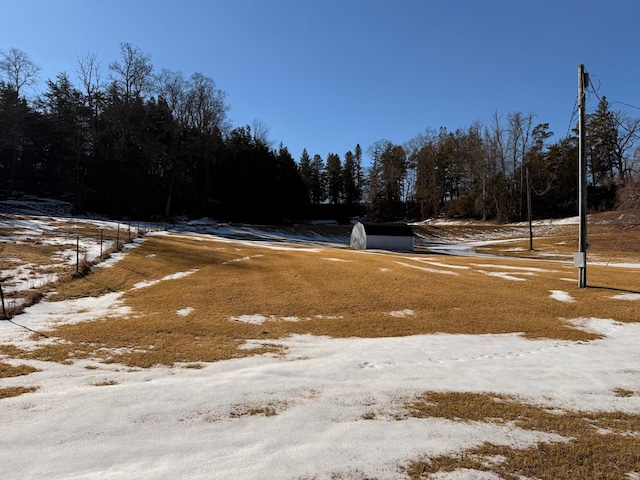 view of yard covered in snow