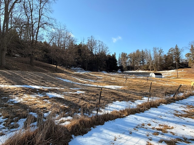 view of yard covered in snow