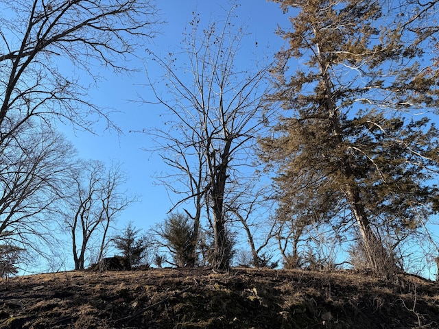 view of landscape