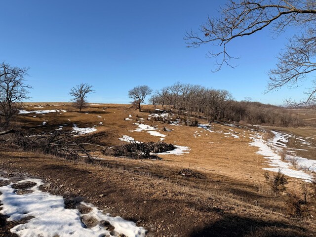 view of local wilderness