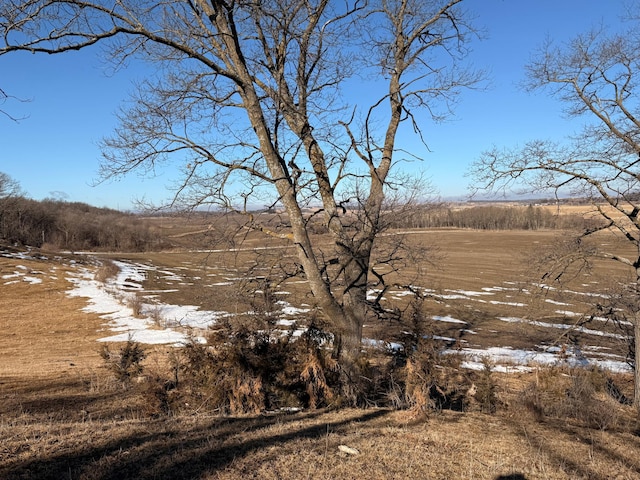 view of local wilderness