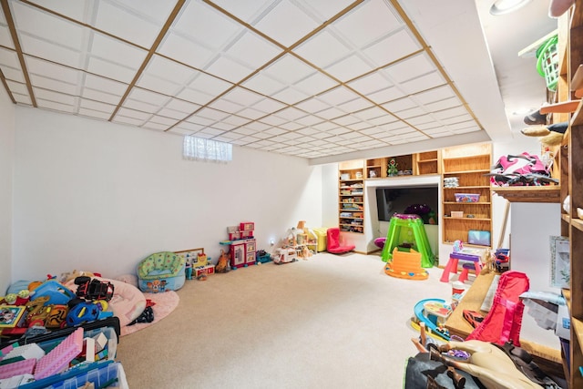 rec room with carpet