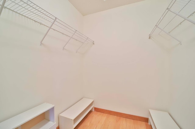 walk in closet featuring light wood-type flooring