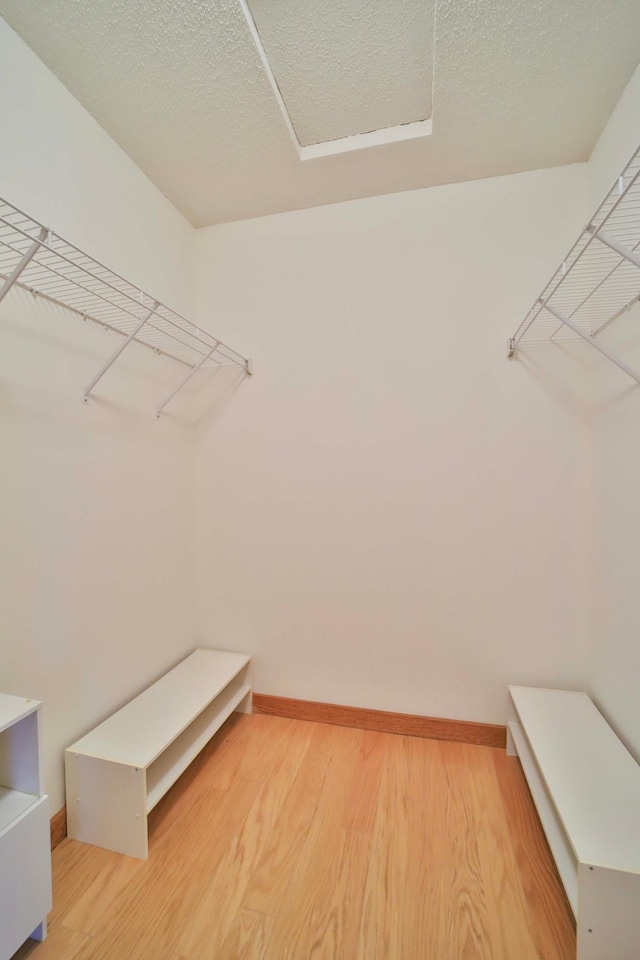 walk in closet with light wood-type flooring