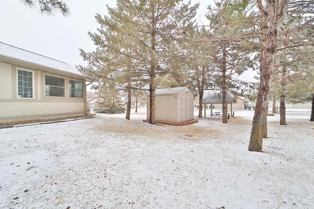 view of yard with a storage unit and an outbuilding