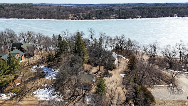 water view featuring a view of trees