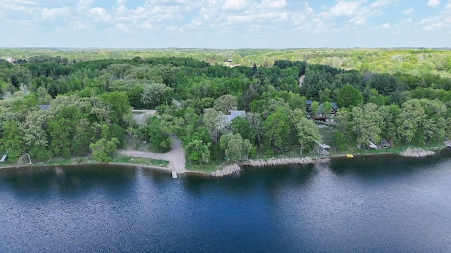 28503 Ottawa Dr, Browerville, MN 56438 - drone / aerial view of a large body of water and a heavily wooded area