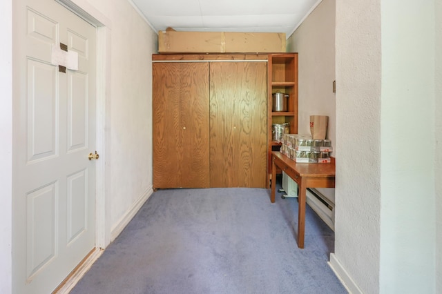 28503 Ottawa Dr, Browerville, MN 56438 - corridor with carpet and a textured wall